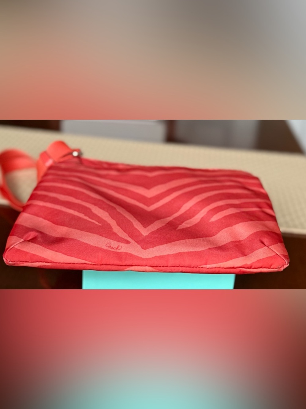 Coach Devin Zebra Pattern Nylon Crossbody Bag F77541 - Picture 9 of 13